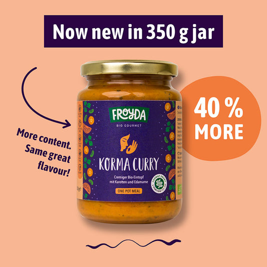 Bio Korma Curry Eintopf