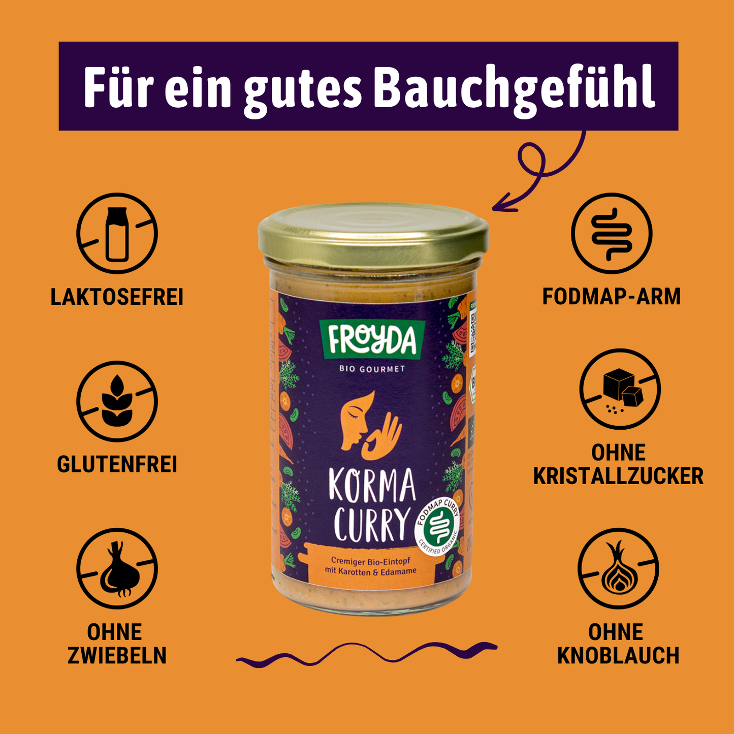 Bio Korma Curry Eintopf